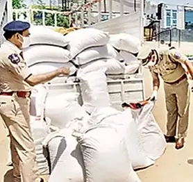 Hyderabad: Illegal sale of spurious cotton seeds busted, 4 held