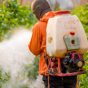 A thousand tonnes of harmful counterfeit pesticides seized in EU
