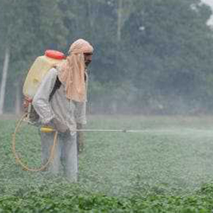 Counterfeit pesticides, fertilisers seized in Ludhiana, six booked