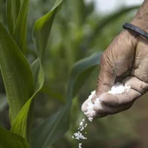 Raid on Ludhiana godown, 8,000 litres of fake fertiliser seized