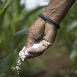 Raid on Ludhiana godown, 8,000 litres of fake fertiliser seized