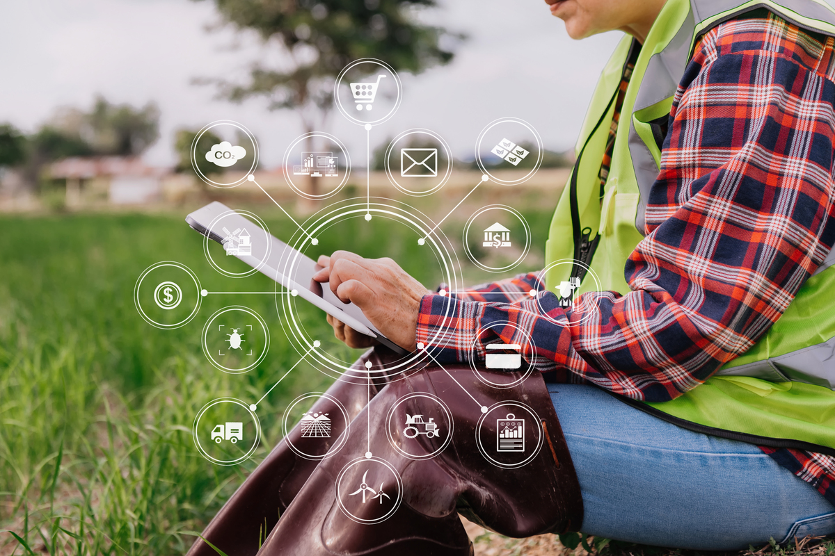 The Future of Supply Chain Management in the Argo Industry