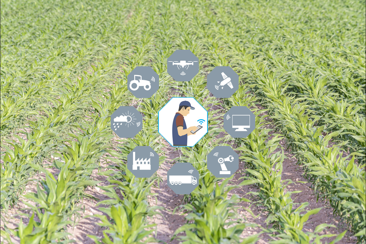 Technology Results for Effective Agro Supply Chain Management 