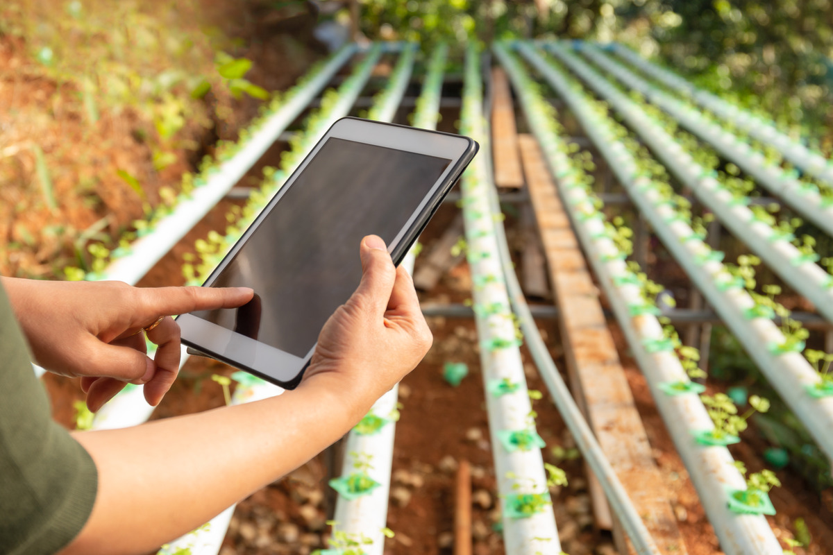 Impact of counterfeiting on the Agro-Industry