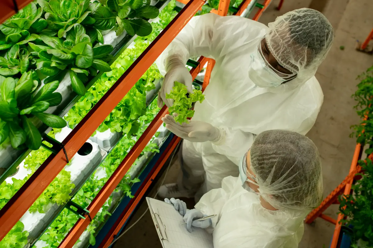 How to Identify and deal with fake Pesticides